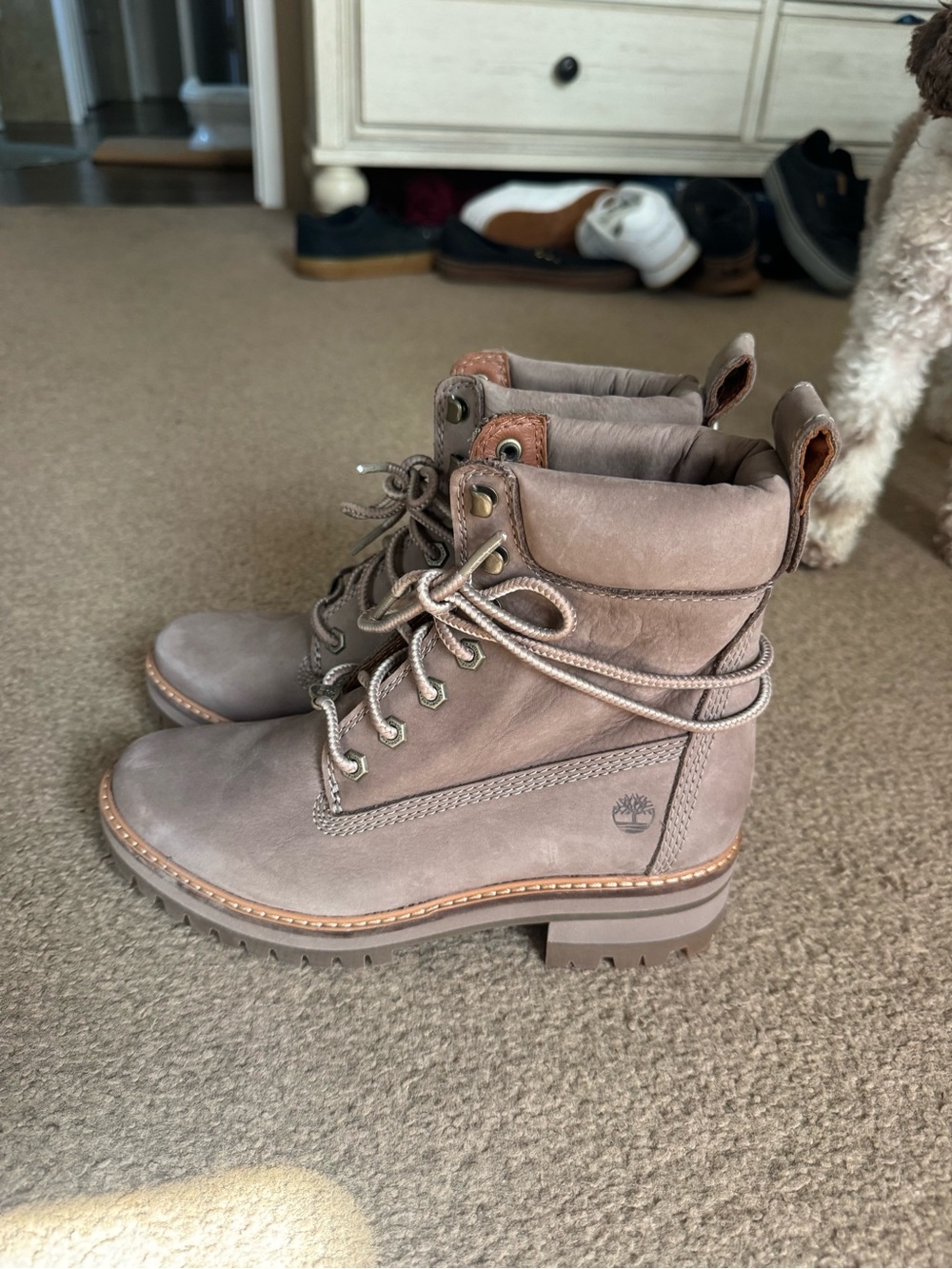 Timberland Women's Taupe Lace-Up Leather Ankle Boots NWOT
